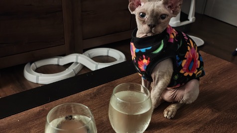 Zdjęcie aktualizacji 175 164