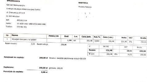 Zdjęcie aktualizacji 175 248