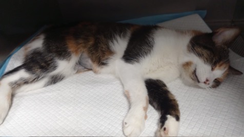 Zdjęcie aktualizacji 175 268