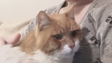 Zdjęcie aktualizacji 175 299