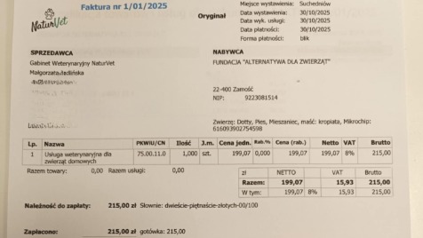 Zdjęcie aktualizacji 175 406