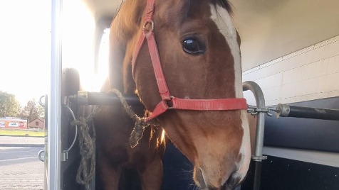 Zdjęcie aktualizacji 175 431