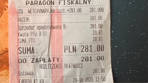 Zdjęcie aktualizacji 175 468