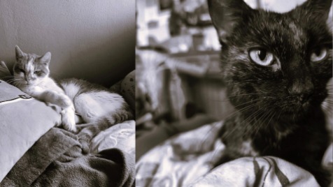 Zdjęcie aktualizacji 175 473