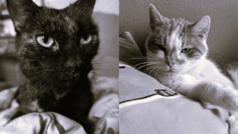 Zdjęcie aktualizacji 175 478