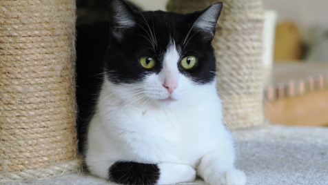 Zdjęcie aktualizacji 175 500