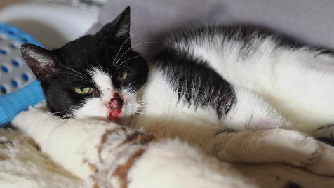 Zdjęcie aktualizacji 175 501