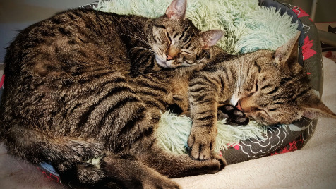 Zdjęcie aktualizacji 175 509