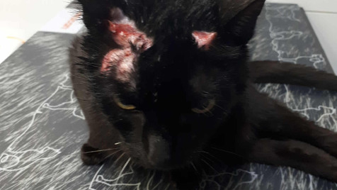 Zdjęcie aktualizacji 175 511