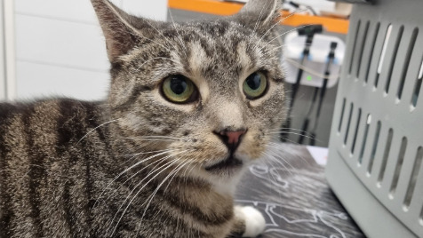 Zdjęcie aktualizacji 175 513