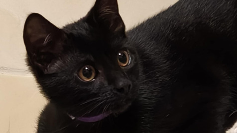 Zdjęcie aktualizacji 175 529