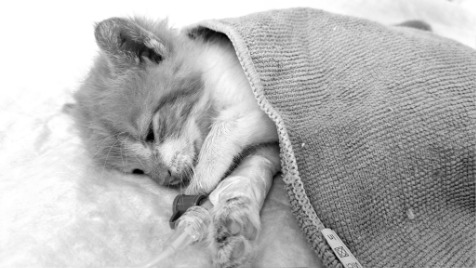 Zdjęcie aktualizacji 175 542