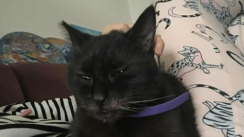 Zdjęcie aktualizacji 175 543