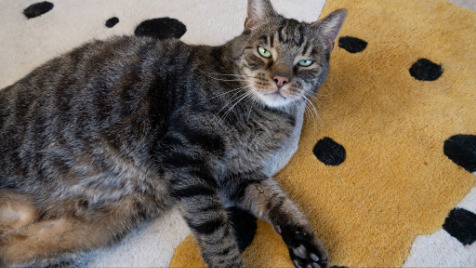 Zdjęcie aktualizacji 175 577