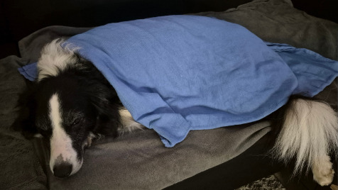 Zdjęcie aktualizacji 175 665