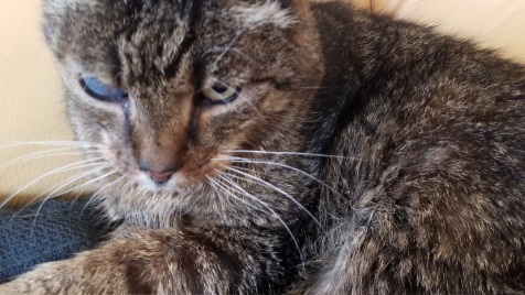 Zdjęcie aktualizacji 175 697