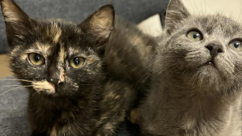 Zdjęcie aktualizacji 175 712