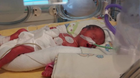 Zdjęcie aktualizacji 175 737