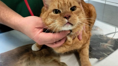 Zdjęcie aktualizacji 175 801