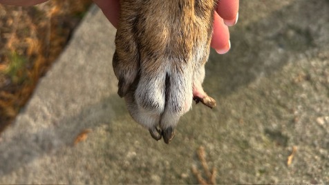 Zdjęcie aktualizacji 175 813