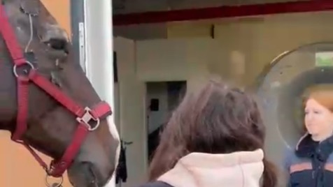 Zdjęcie aktualizacji 175 832