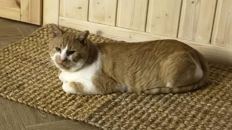 Zdjęcie aktualizacji 175 857