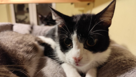 Zdjęcie aktualizacji 175 909