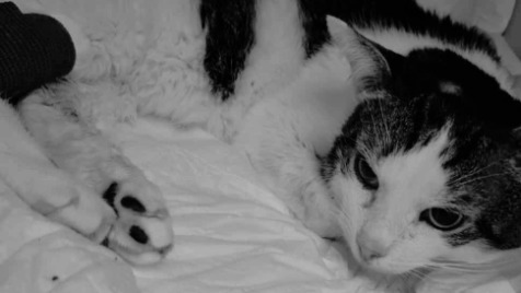 Zdjęcie aktualizacji 175 935