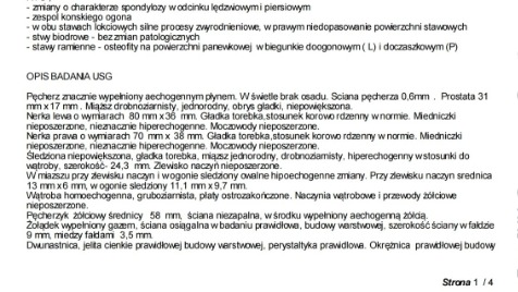 Zdjęcie aktualizacji 176 008