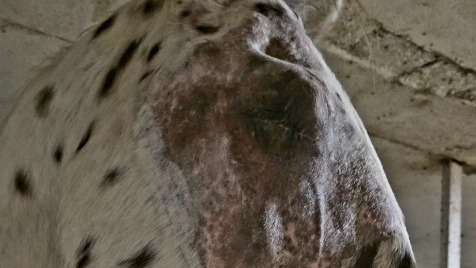 Zdjęcie aktualizacji 176 056