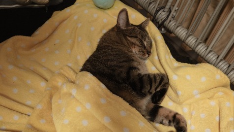 Zdjęcie aktualizacji 176 061