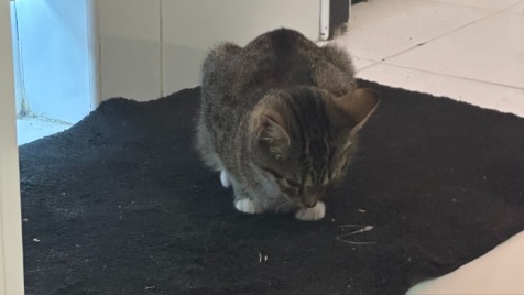 Zdjęcie aktualizacji 176 064