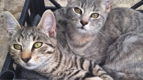 Zdjęcie aktualizacji 176 066