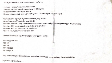 Zdjęcie aktualizacji 176 173