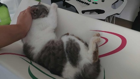 Zdjęcie aktualizacji 176 185