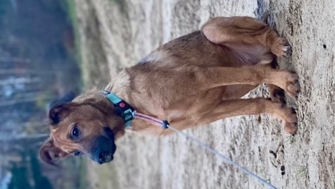 Zdjęcie aktualizacji 176 223