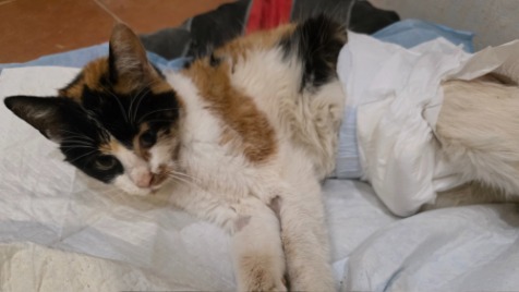 Zdjęcie aktualizacji 176 378