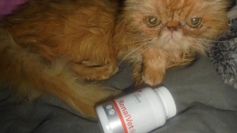 Zdjęcie aktualizacji 176 389