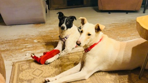 Zdjęcie aktualizacji 176 398