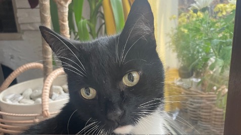 Zdjęcie aktualizacji 176 416