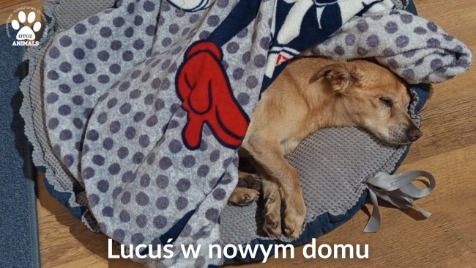 Zdjęcie aktualizacji 176 433