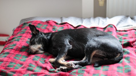 Zdjęcie aktualizacji 176 445