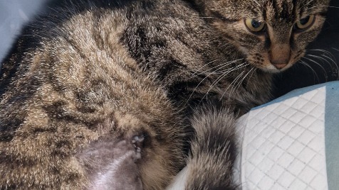 Zdjęcie aktualizacji 176 467