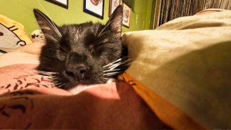 Zdjęcie aktualizacji 176 521