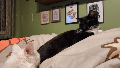 Zdjęcie aktualizacji 176 522