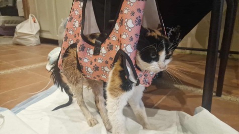 Zdjęcie aktualizacji 176 564