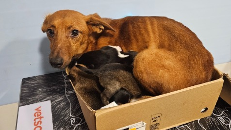 Zdjęcie aktualizacji 176 602