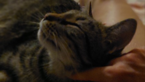 Zdjęcie aktualizacji 176 672