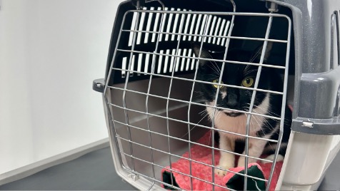 Zdjęcie aktualizacji 176 842