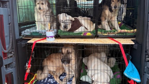 Zdjęcie aktualizacji 176 870